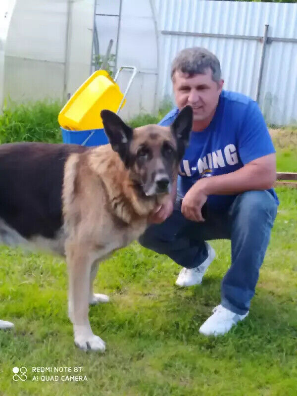 ���� 20663414 ������� ����, 49 ���, ���� ���������� � ������