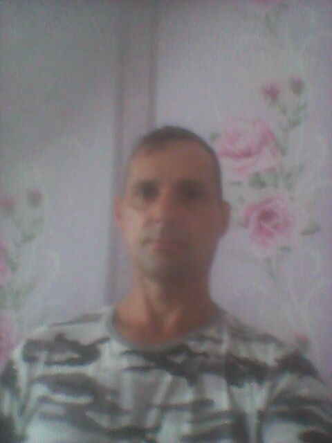  23709014  , 46 ,    