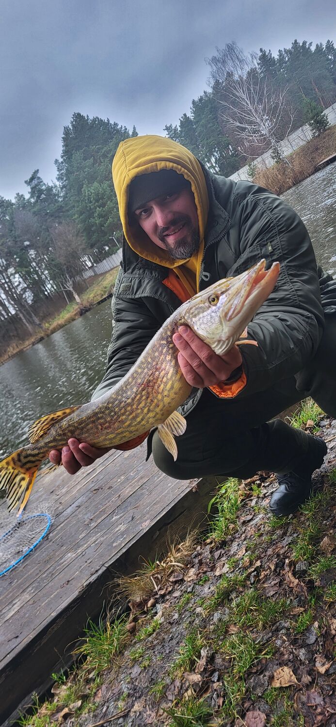 ���� 55461324 ������� �����, 42 ����, ���� ���������� � ��������