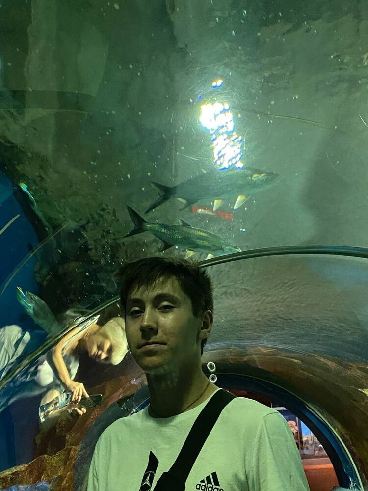  53422854  , 19 ,    -