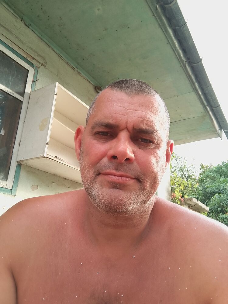  46085884  , 44 ,    