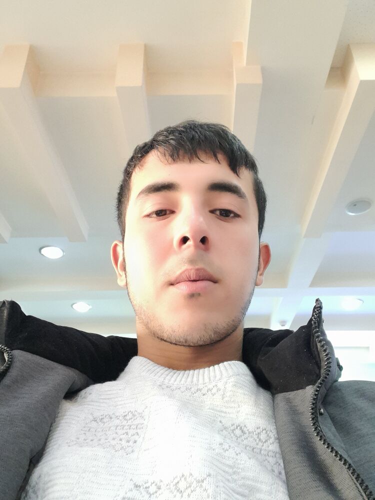  31571234  , 37 ,    
