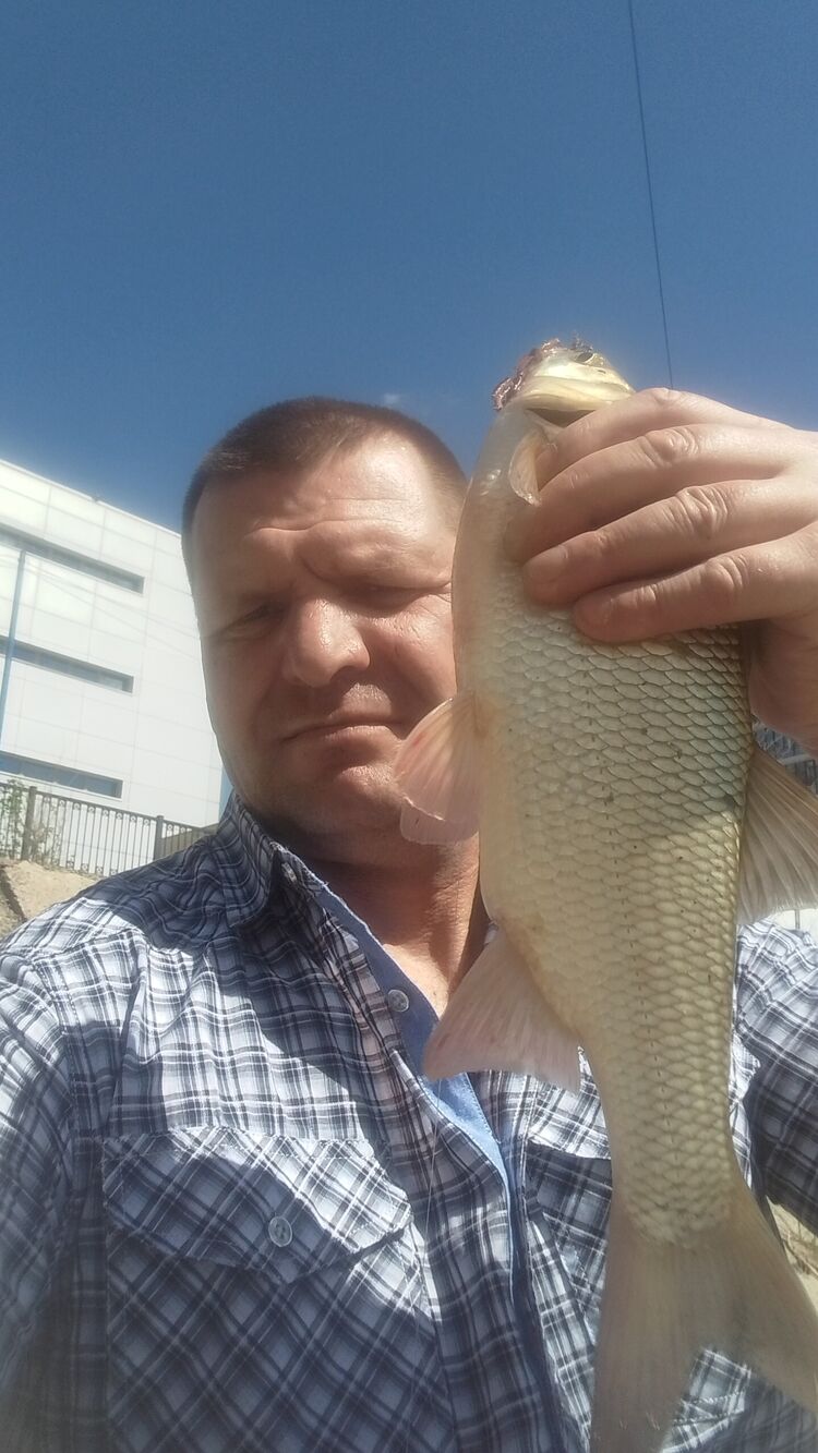 ���������� �����������, ���� ������� �����, 49 ���, ������������ ��� ������, ����� � ���������