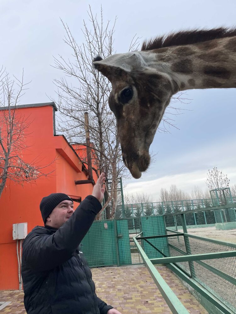  ,   , 43 ,   ,   
