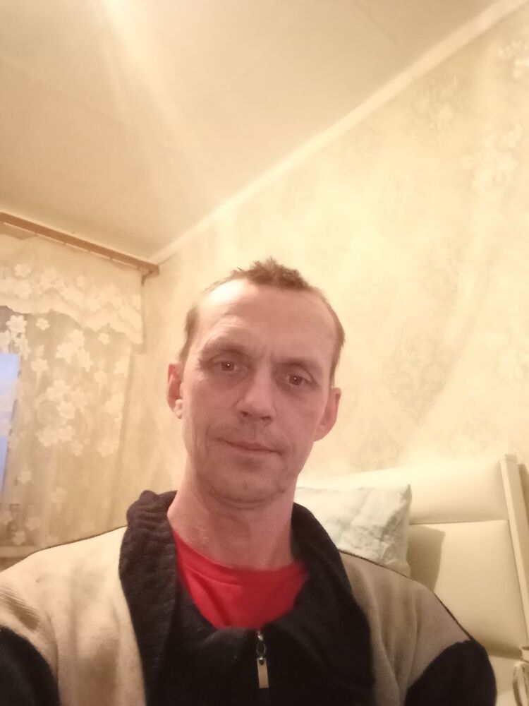  42683354  , 41 ,    