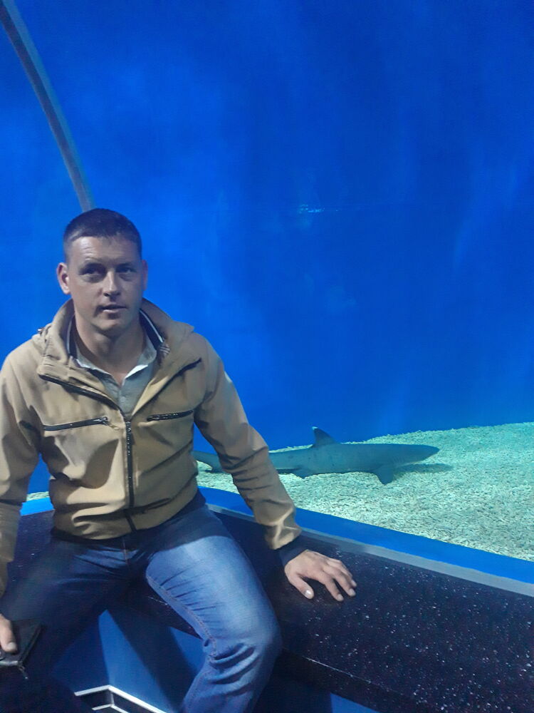 ���� 24458574 ������� ������, 38 ���, ���� ���������� � ����������