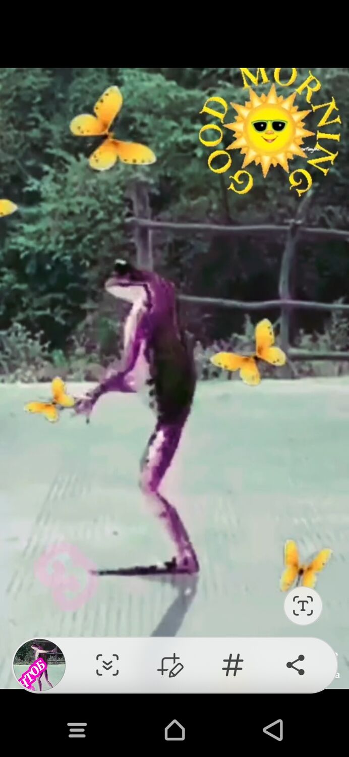  34728204  , 52 ,    