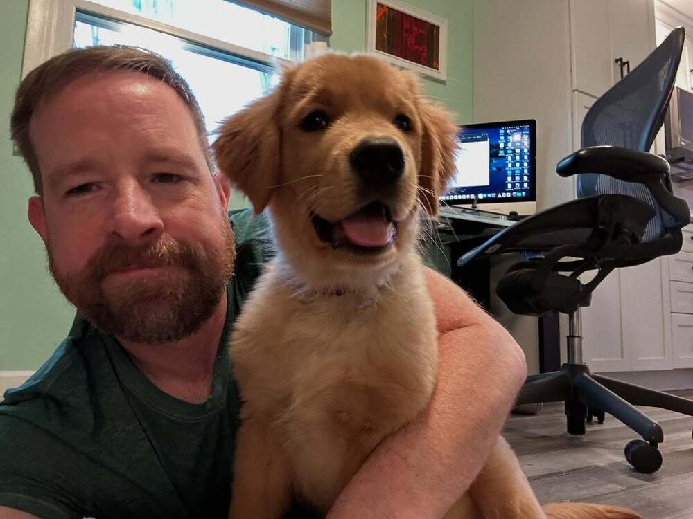 ���� 51895964 ������� ������, 42 ����, ���� ���������� � ����������