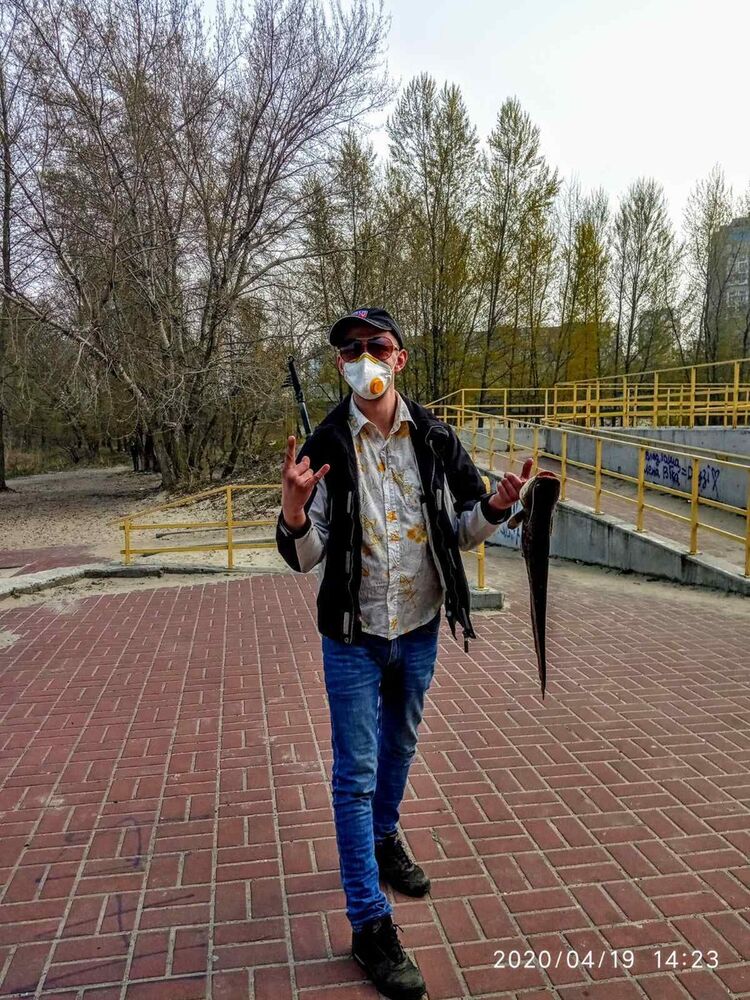 ���� 19877494 ������� �������, 36 ���, ���� ���������� � ���������