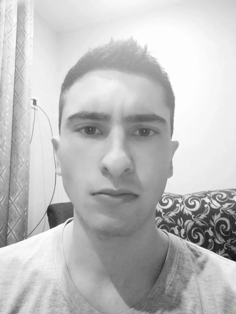  41295334  , 24 ,    