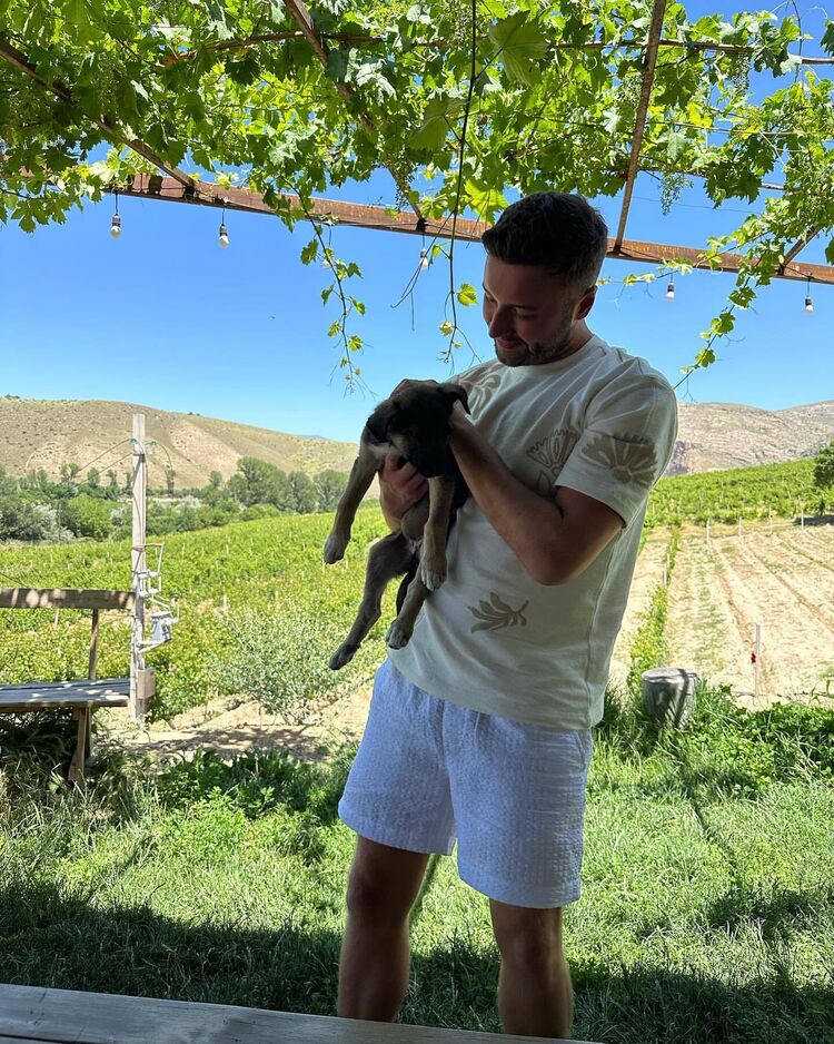 ���� 47743424 ������� ���������, 36 ���, ���� ���������� � ������������