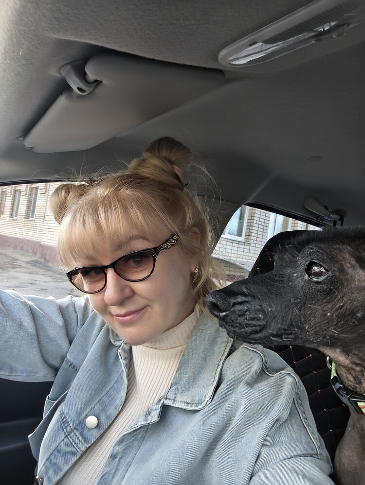 ���������� ������, ���� ������� ��������, 46 ���, ������������ ��� ����� � ���������, c�������� ���������