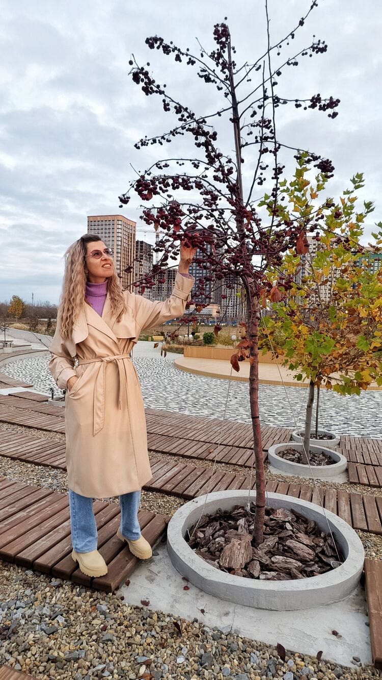  54749874  , 46 ,    --