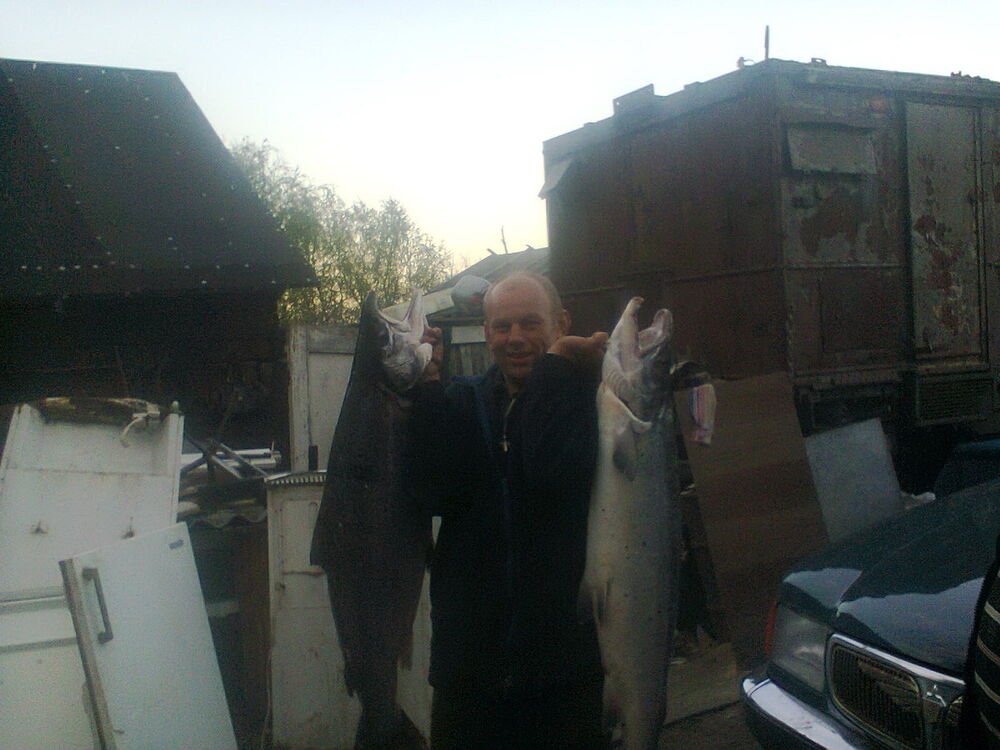  ,   , 53 ,  