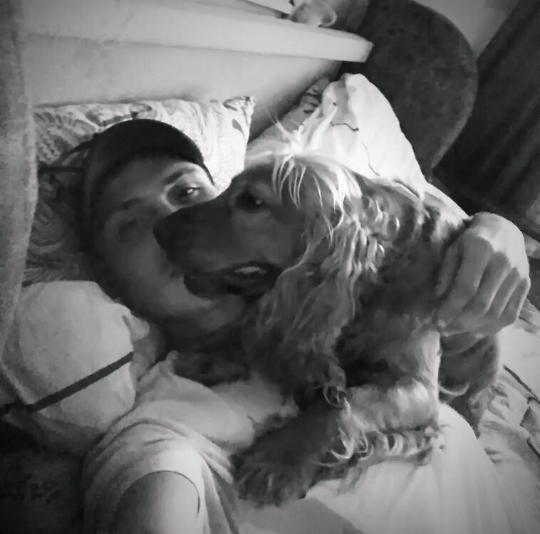 ���������� �����������, ���� ������� ������, 36 ���, ������������ ��� ������, ����� � ���������, c�������� ���������