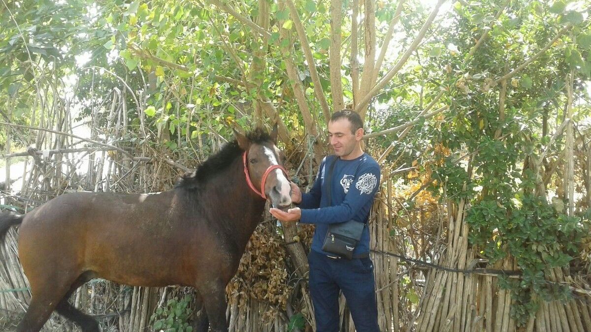 ���� 16993634 ������� Isa, 39 ���, ���� ���������� � �������