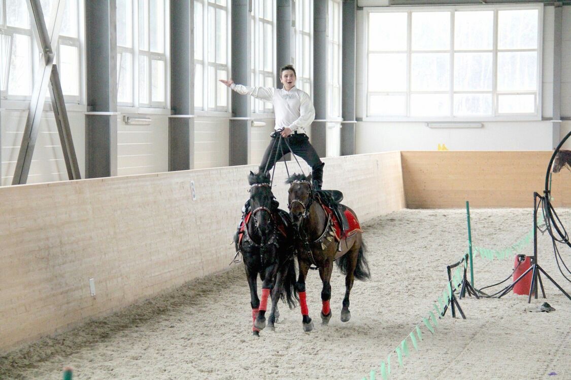 ���������� ������, ���� ������� ����, 31 ���, ������������ ��� ������, ����� � ���������, c�������� ���������, ���������