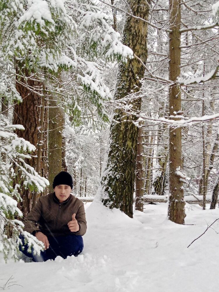 ���������� ������, ���� ������� � �����, 37 ���, ������������ ��� ������, ����� � ���������