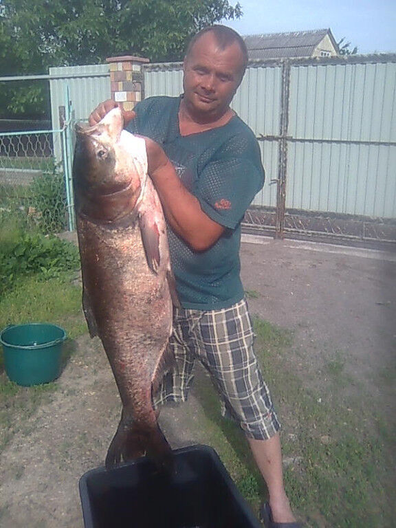  ,   , 54 ,   