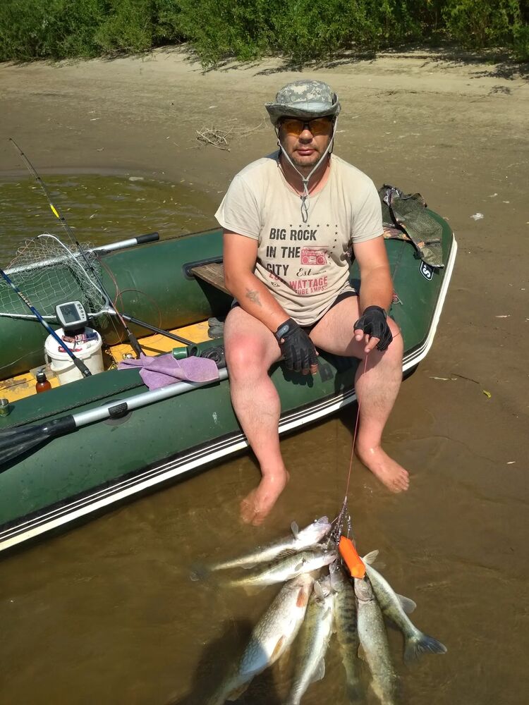  43840184  , 55 ,    -