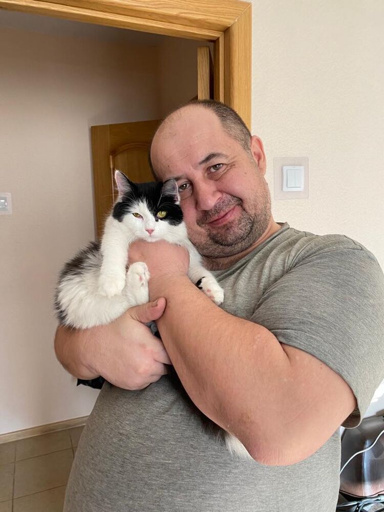 ���� 37393774 ������� ����, 51 ���, ���� ���������� � �������