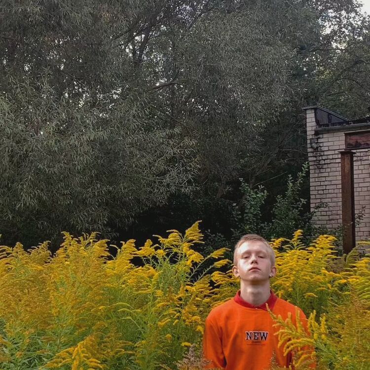 ���� 41061184 ����� �������, 20 ���, ���� ���������� � ������