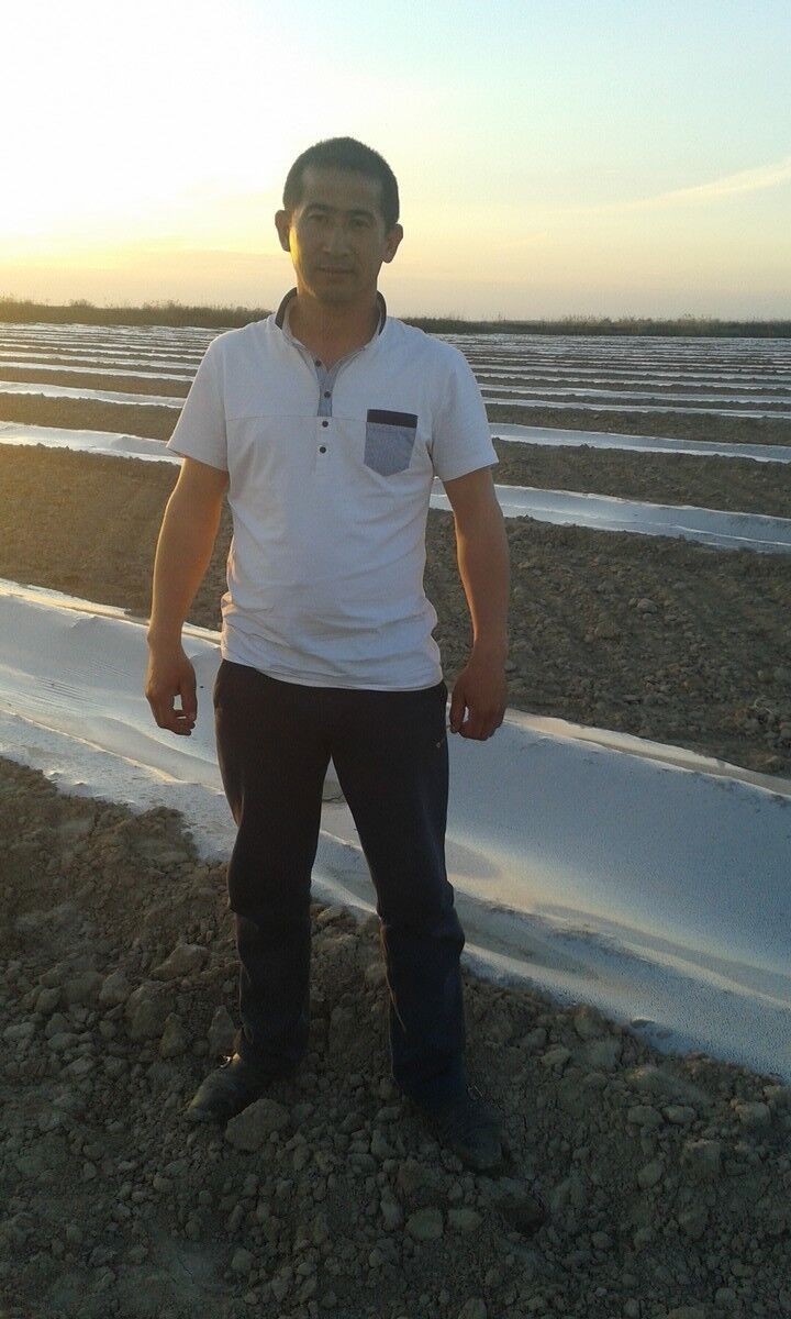  5882684  , 43 ,    