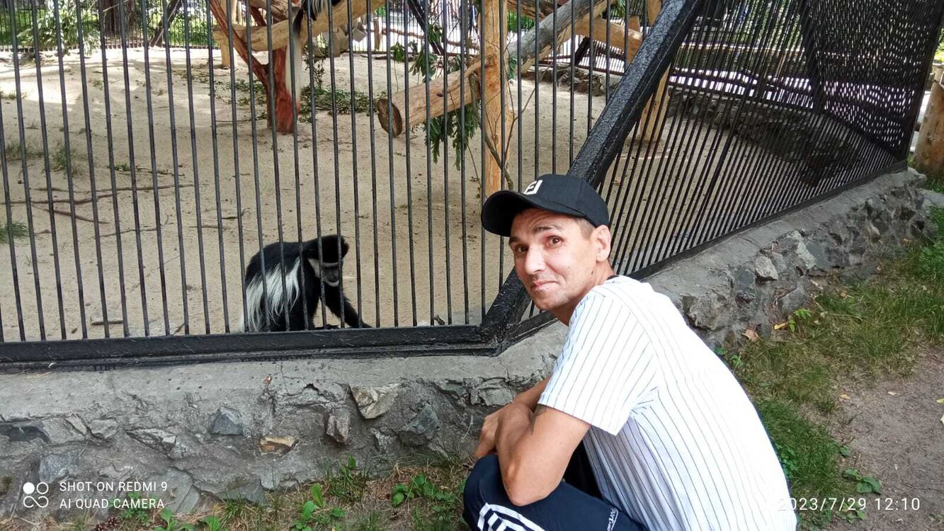 ���������� �����������, ���� ������� ����, 44 ����, ������������ ��� ����� � ���������, c�������� ���������