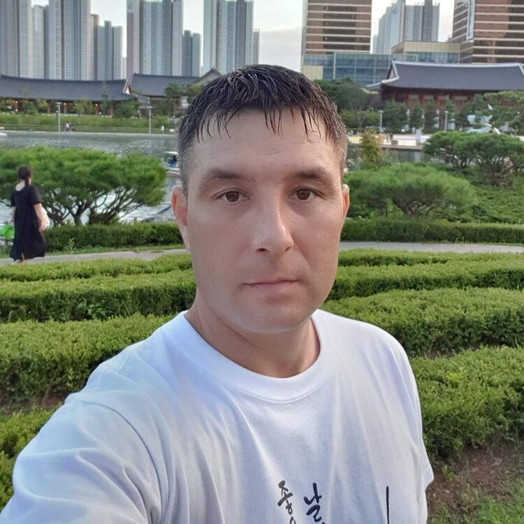  49780164  , 43 ,    