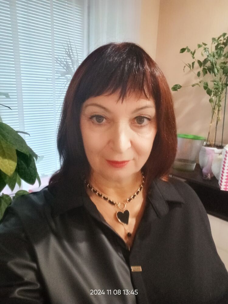  54206544  , 66 ,    -