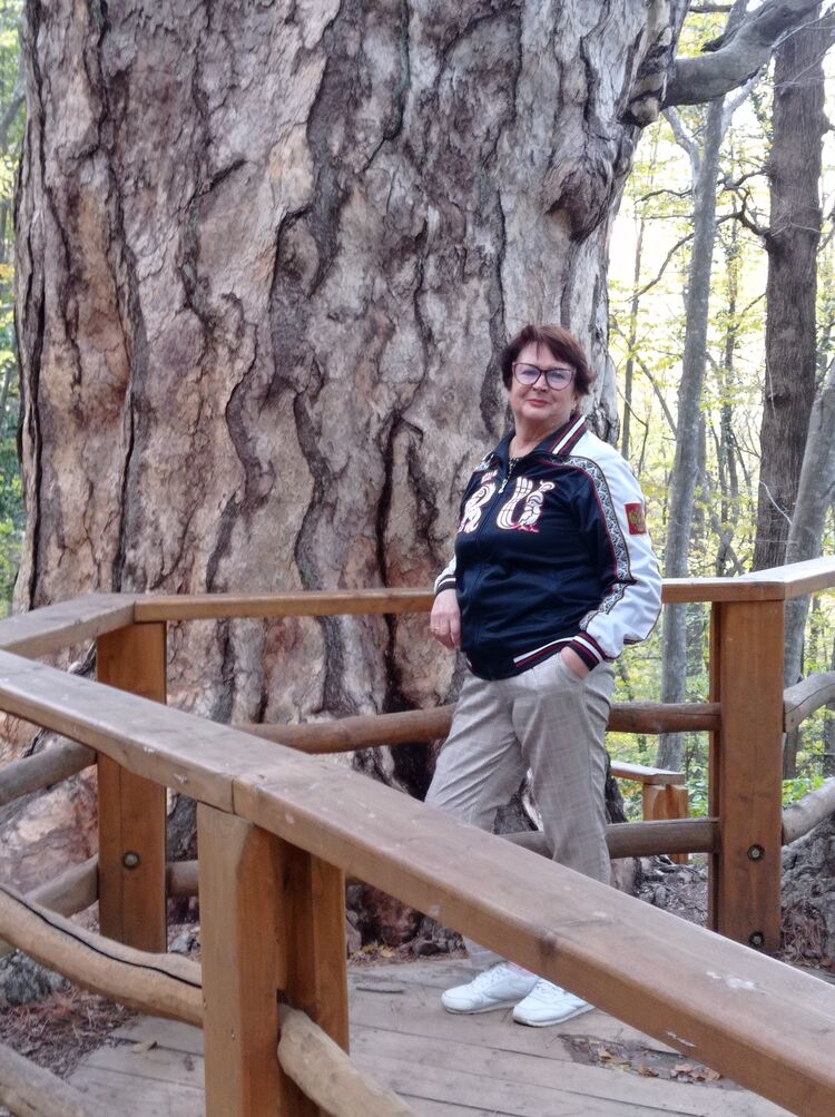 ���������� ��������, ���� ������� �������, 67 ���, ������������ ��� c�������� ���������, ���������