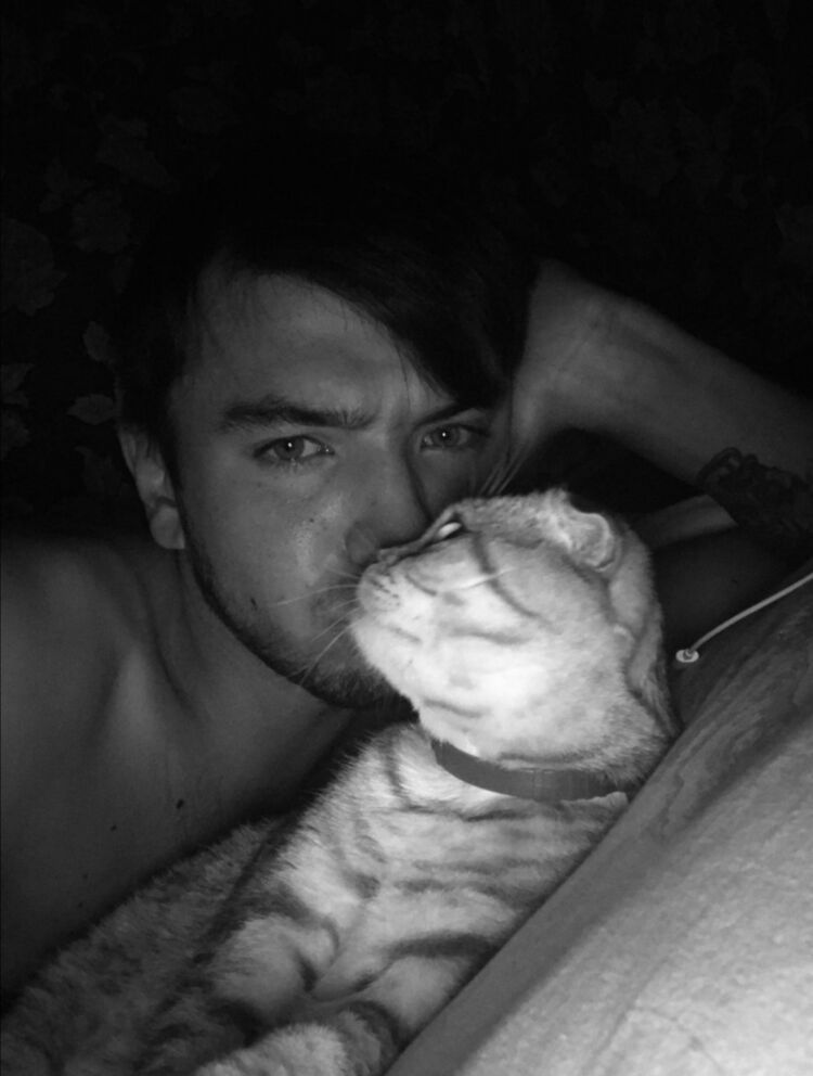 ���� 27012944 ������� ���������, 28 ���, ���� ���������� � �������