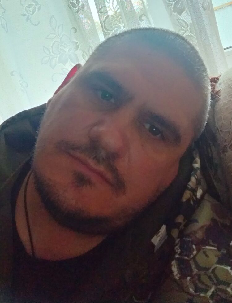  41306794  , 40 ,    
