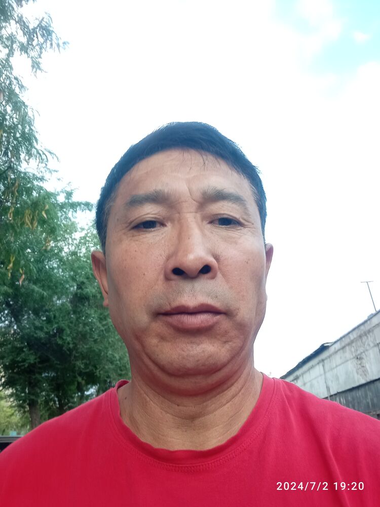  44336124  , 53 ,    