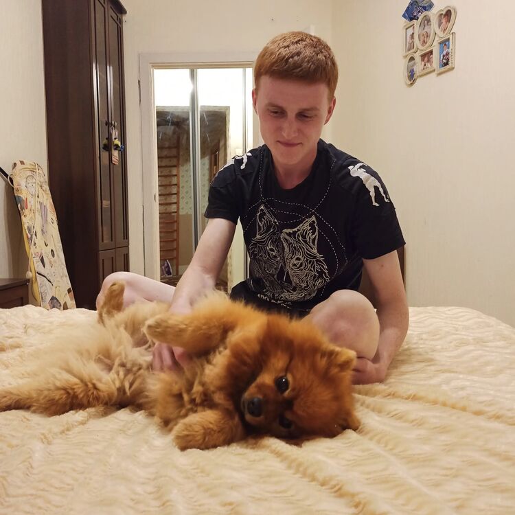 ���� 29859554 ����� Choco Pie, 23 ����, ���� ���������� � �����