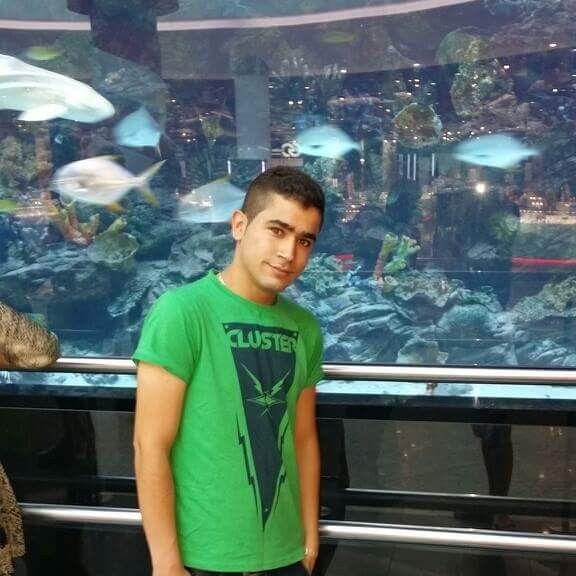  8165404  Shhab, 31 ,    