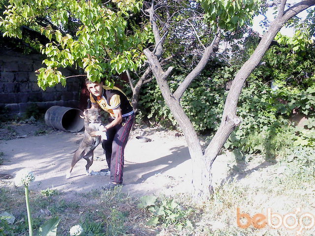  ,   ARSEN, 31 ,   ,   , c 