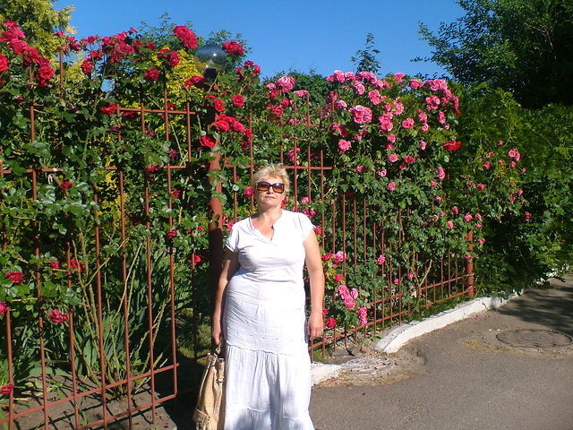  ,   , 60 ,     , c 