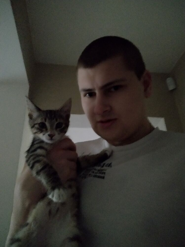 ���������� ���������, ���� ������� �������, 31 ���, ������������ ��� ������, ����� � ���������, c�������� ���������