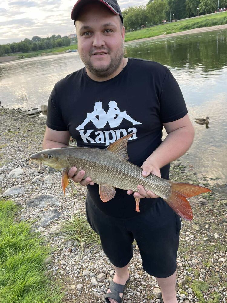 ���� 36562984 ������� ����, 29 ���, ���� ���������� � �������