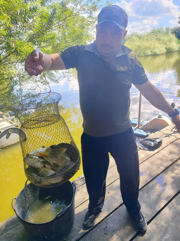 ���� 37009294 ������� ����, 43 ����, ���� ���������� � ��������