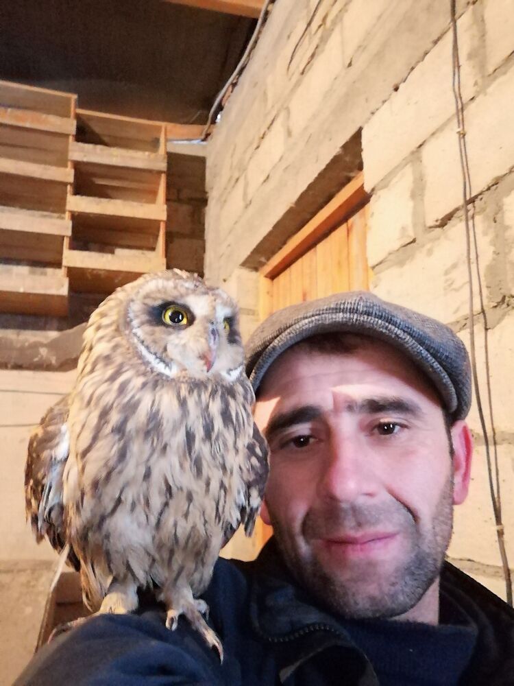  ,   , 44 ,   ,   