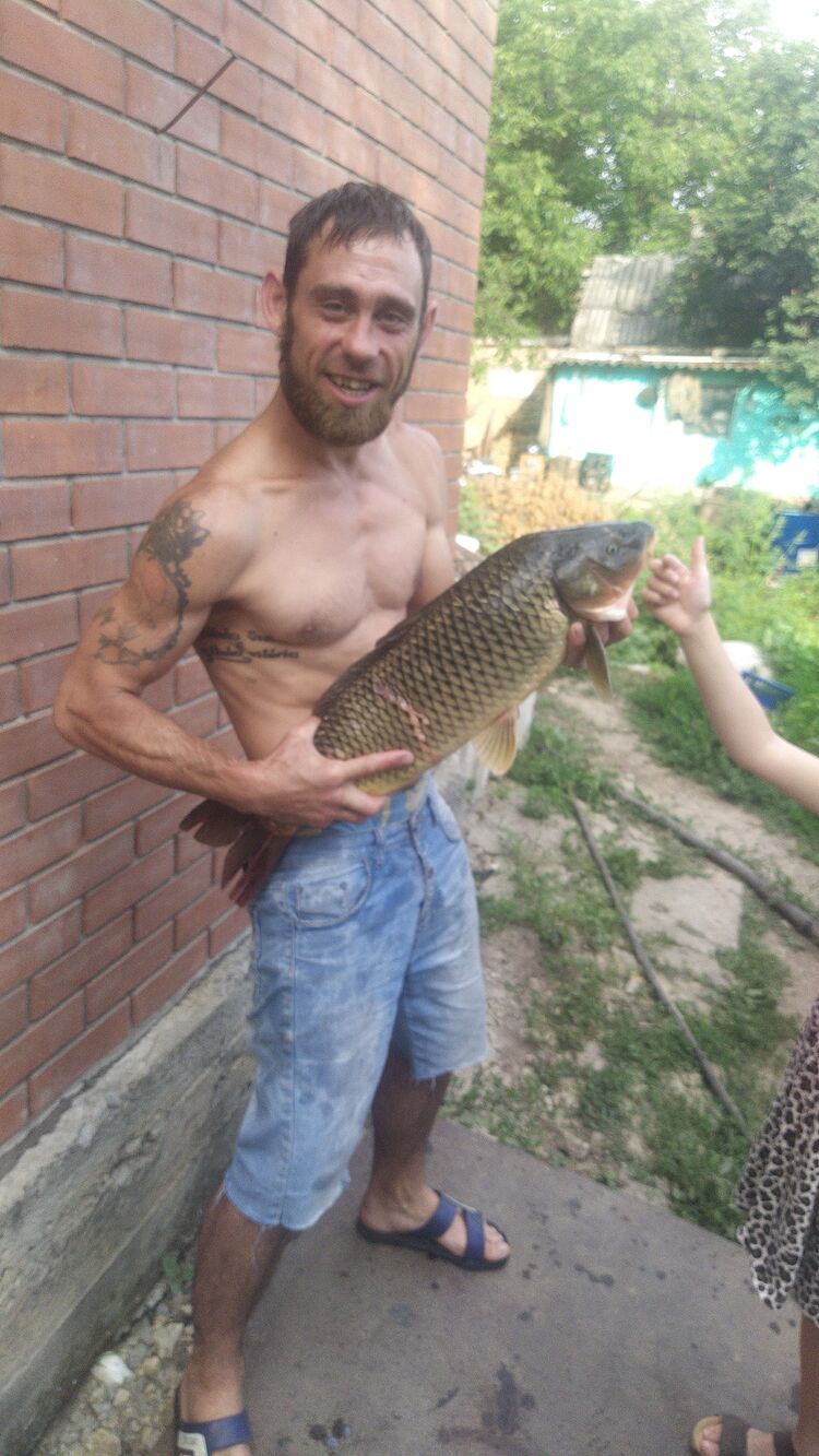  27138824  , 36 ,    --