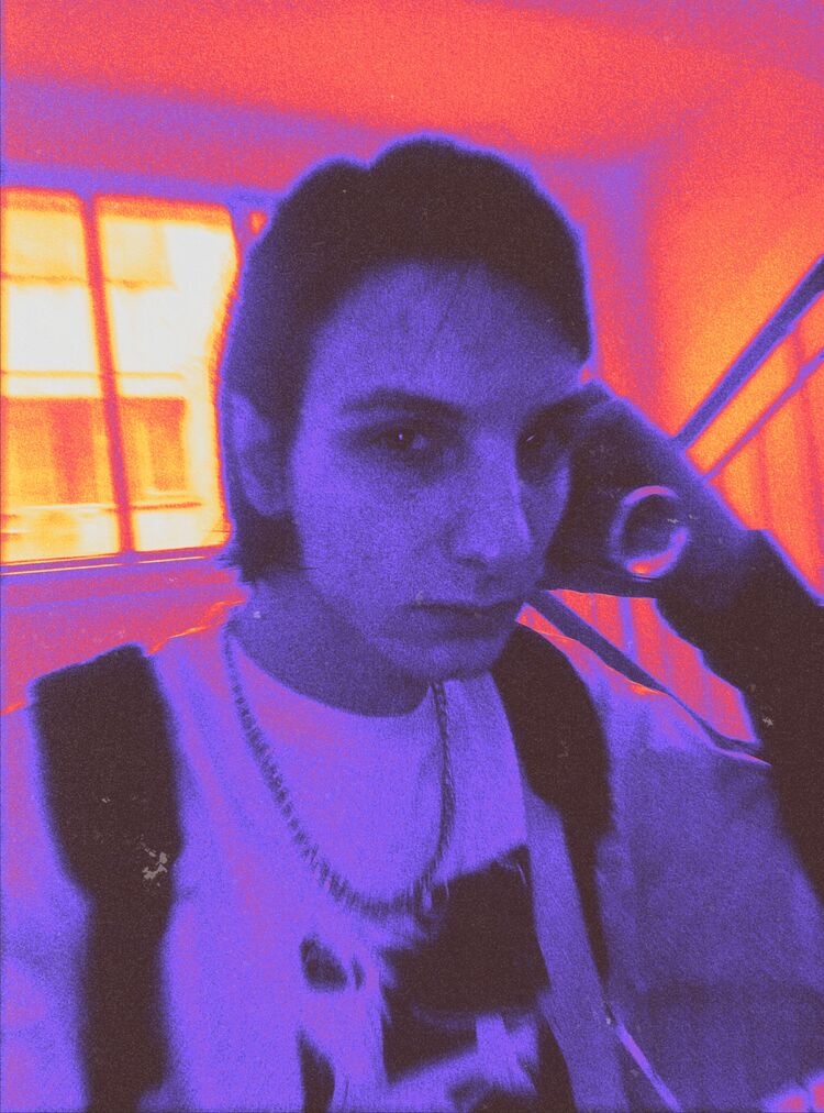  33733134  , 28 ,    