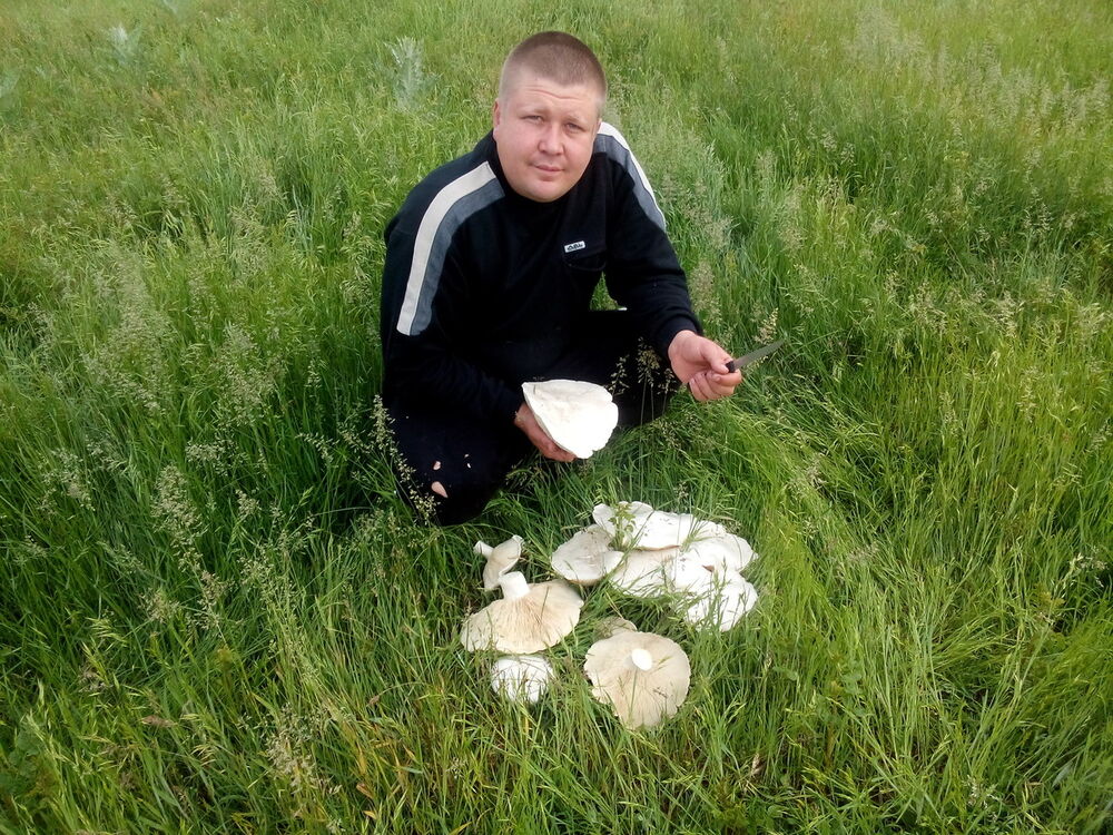 ���� 7811874 ������� ���������, 41 ���, ���� ���������� � �������