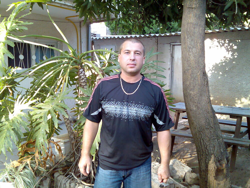 ���� 7843194 ������� ������, 48 ���, ���� ���������� � ���������