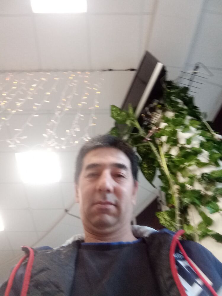  31673174  , 52 ,    