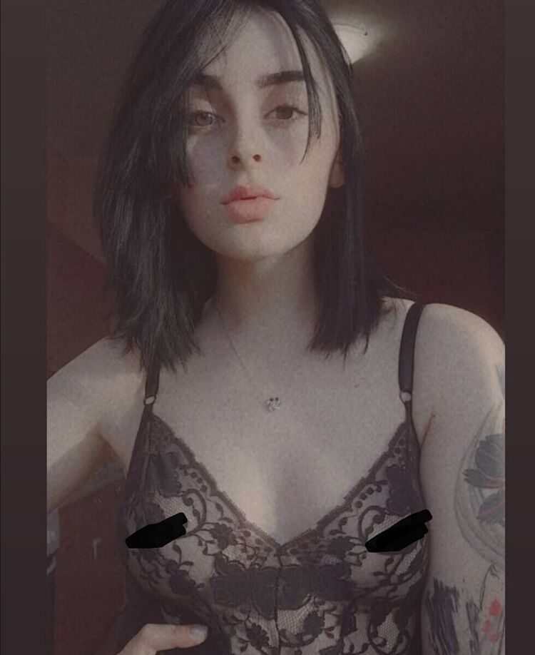  24931304  , 27 ,    