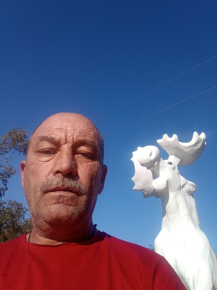  38717974  , 56 ,    