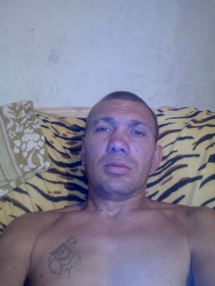  12761464  , 41 ,    